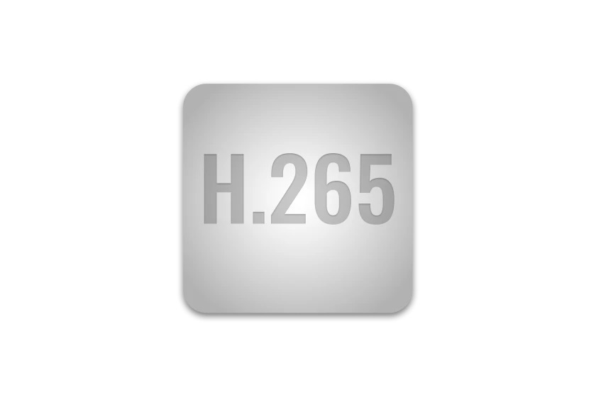H.265 icon