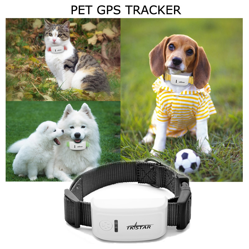 Dog GPS Tracker – Weenect XS (Black Edition 2023) | Real-Time GPS Tracking  | Smallest Tracker on The Market | Subscription Required